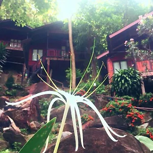 Hill 3* Islas Phi Phi